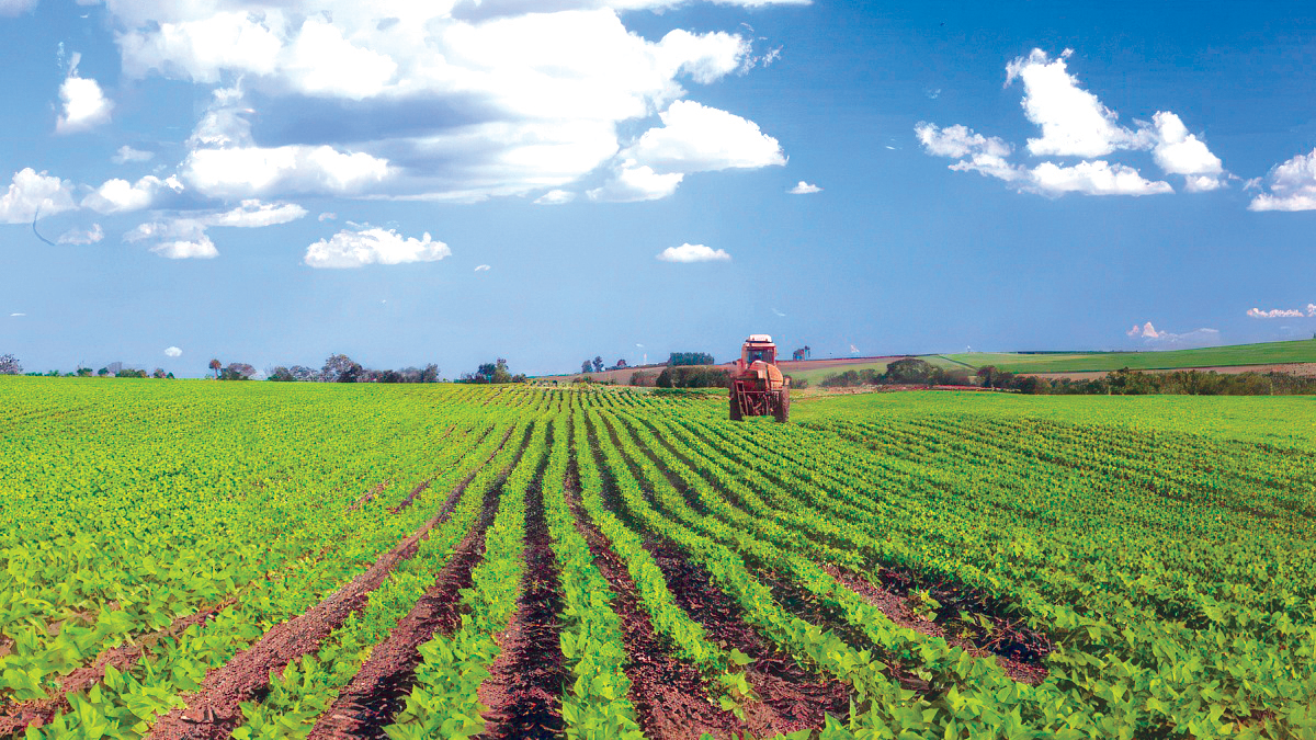 AGRICULTURE : POLITIQUE DE L’ÉTAT ET INITIATIVES DES BAILLEURS